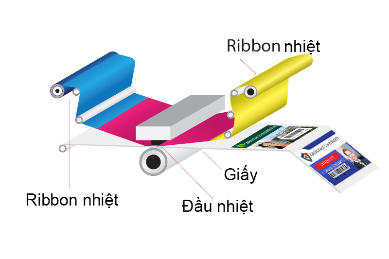 Công nghệ in thẻ nhựa ở Việt Nam đang áp dụng